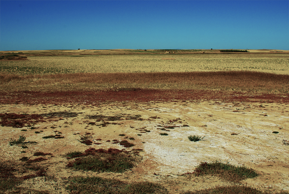 Paisaje invernal de la Cuenca del Duero