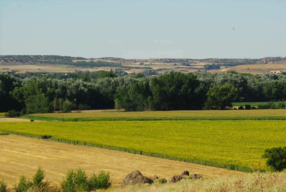 terrazas del Duero. enlace
