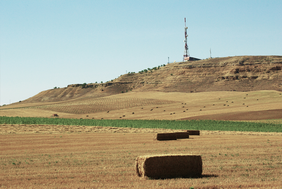 El cerro del Viso: enlace