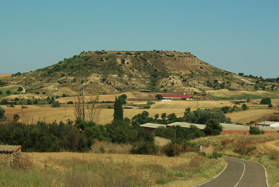 La parva de avedillo