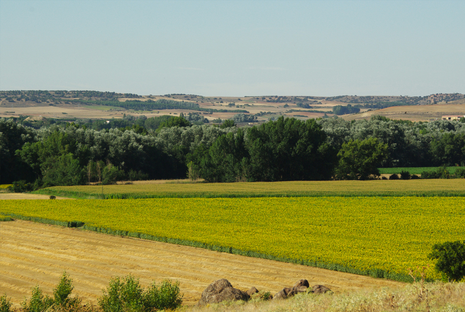 Las terrazas del Duero. enlace