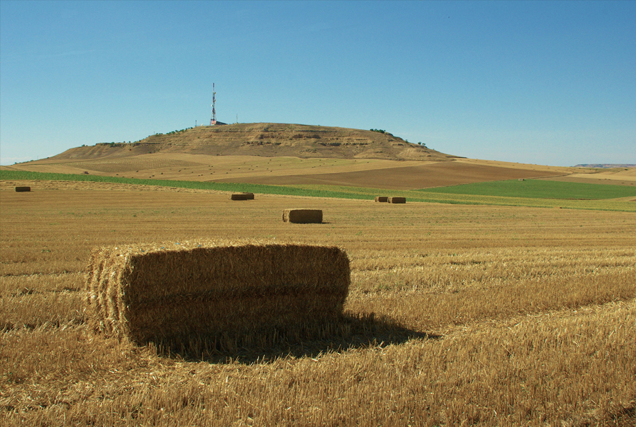 El Viso